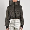 Rolla Short