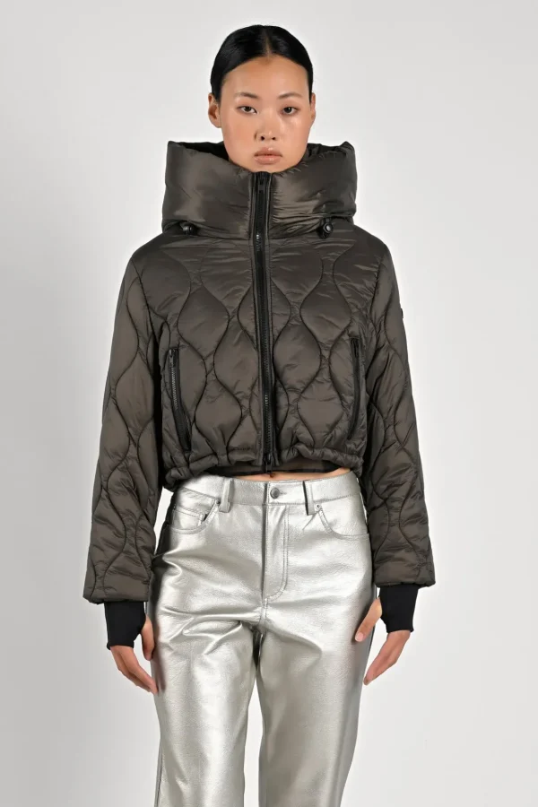 Rolla Short