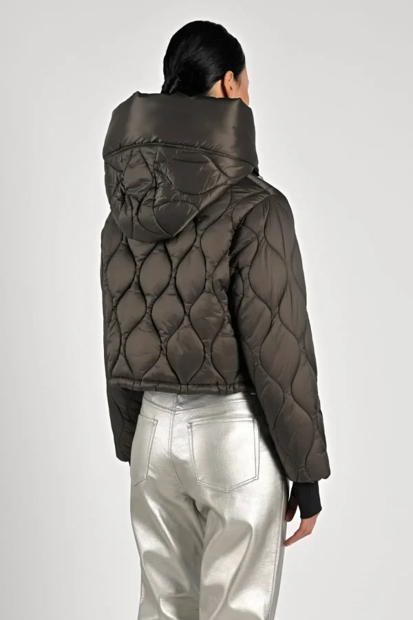 Rolla Short